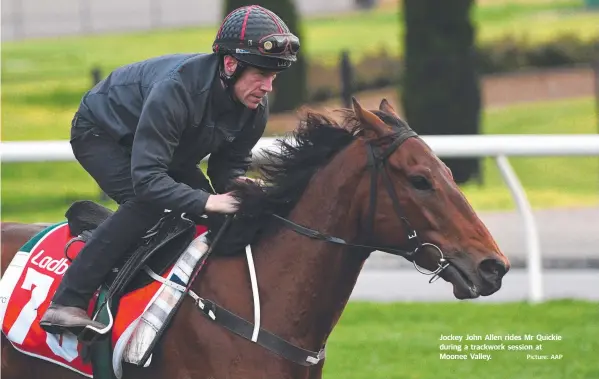  ?? Picture: AAP ?? Jockey John Allen rides Mr Quickie during a trackwork session at Moonee Valley.