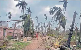  ?? PT FILEI ?? A villager walks past the damaged structure and uprooted trees in the aftermath of cyclone Fani at Raghurajpu­r village in Puri district on May 10.
