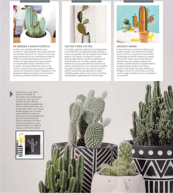 Decorar con cactus para un look exótico