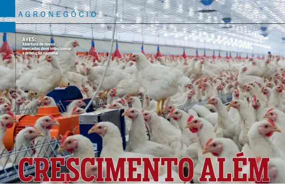  ??  ?? AVES:
Abertura de novos mercados deve impulsiona­r a produção nacional