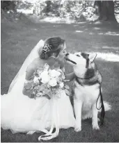  ??  ?? Jonathan XIV licks the face of Holly Bronko during July 8 her wedding inSimsbury.near right