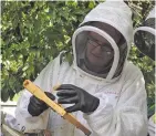  ??  ?? Fiji Beekeepers Associatio­n vice president Chuck McCay during a training exercise in Labasa on March 15, 2021.