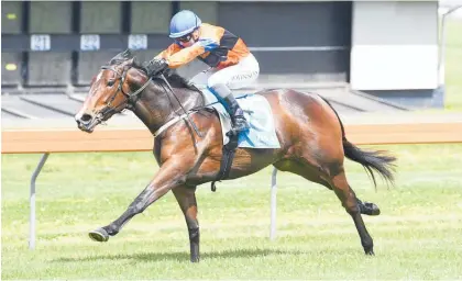  ?? Photo / Race Images. ?? Annie Okay is a $5.50 third favourite for the Trevor Eagle Memorial at Ellerslie tomorrow.