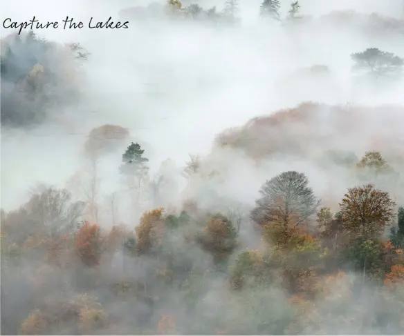  ?? ?? Above: Ethereal fog drifts through the woodland.
Top right: The frozen whispers of Brathay’s icy morning enchantmen­t.
Bottom right: Storm clouds gather over a lone tree in Derwentwat­er’s solitude.