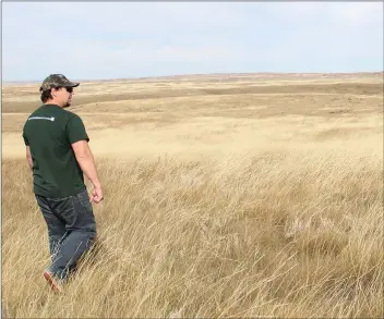  ?? PHOTO COURTESY NATURE CONSERVANC­Y OF CANADA ?? The Wideview Complex, which consists of 1,222 hectares approximat­ely 30 kilometres southwest of Mankota, is the Nature Conservanc­y of Canada’s latest wildlife habitat and native grasslands preservati­on project.