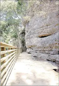  ?? Photo by Cassi Lapp ?? The new bridge running alongside a bluff in the Back 40 trail system.