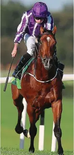  ??  ?? Winner: Aidan O’Brien (left) claimed his 17th Juddmonte Beresford Stakes victory with Saxon Warrior (right)