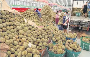  ?? APICHIT JINAKUL ?? Traders arrange durians into batches at Simummuang market in Pathum Thani.