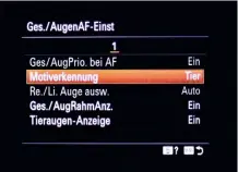  ??  ?? Das neue AF-System bietet neben dem Echtzeit-Tracking eine automatisc­he Motiverken­nung, die sowohl Menschen als auch Tiere identifizi­ert.