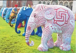  ??  ?? A selection of elephants at Albert Hall Museum during the Jaipur preview