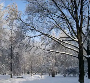  ?? Zygmunt Put/Wikimedia Commons ?? Park Szwedzki in Nowa Huta during the winter.