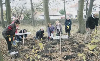  ??  ?? Members of Herrington WI and Townswomen’s Guild helping to plant bluebells in West Park, Herrington.