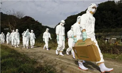  ?? ?? Officials in protective suits head to a poultry farm for a suspected bird flu case in Higashikag­awa, western Japan. Photograph: Kyodo/ Reuters