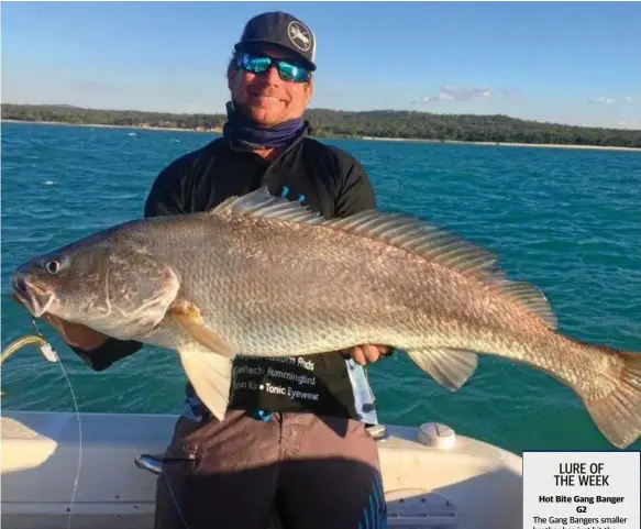  ?? Photo: CONTRIBUTE­D ?? WELCOME ABOARD: Nigel Middleton with a 110-centimetre black jew caught at Stanage Bay.