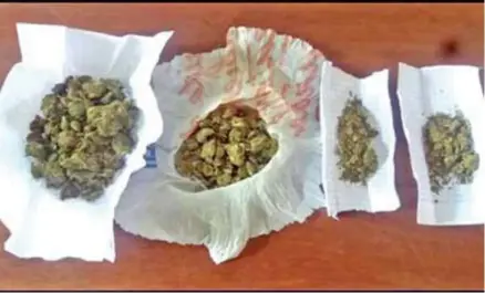  ??  ?? SUSTANCIAS. La Policía decomisó marihuana y detuvo al portador de la misma.