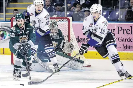  ?? DARREN STONE, TIMES COLONIST ?? Royals forward Ryan Peckford battles for a loose puck with Slivertips defenceman Kevin Davis during the first period of Game 3 at Save-on- Foods Memorial Centre on Tuesday night.