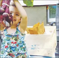  ?? PHOTO SUBMITTED BY KATIE GRIST ?? Rory Douglas is shown displaying some fresh vegetables. She is one of the volunteers and consumers who use the Pan Cape Breton Food Hub.