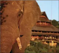 ??  ?? Victoria Falls Safari Lodge