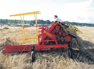  ??  ?? BINDER RIPE: A Bisset semi-mounted binder in a rather tangled crop however this sun is shining on this occasion