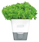  ??  ?? Keep kitchen herbs fresh in this Cole & Mason self-watering pot, £12.79, House of Fraser