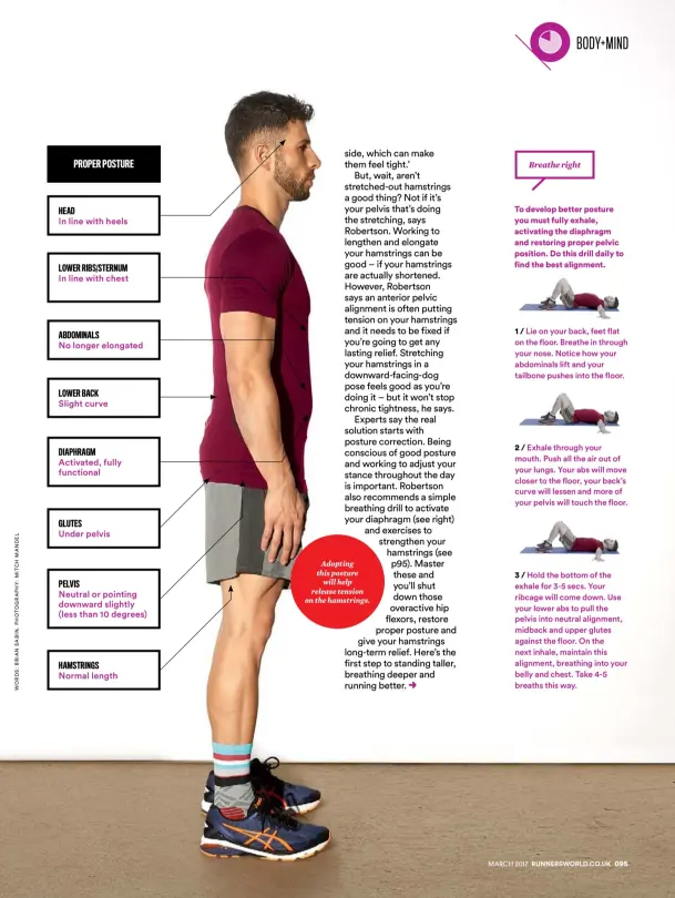  ??  ?? Adopting this posture will help release tension on the hamstrings. PROPER POSTURE HEAD In line with heels LOWER RIBS/STERNUM In line with chest ABDOMINALS No longer elongated LOWER BACK Slight curve DIAPHRAGM Activated, fully functional GLUTES Under...