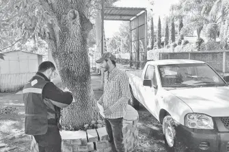  ?? CORTESÍA: SENASICA ?? en San Miguel El Alto, Jalisco, permanece en cuarentena