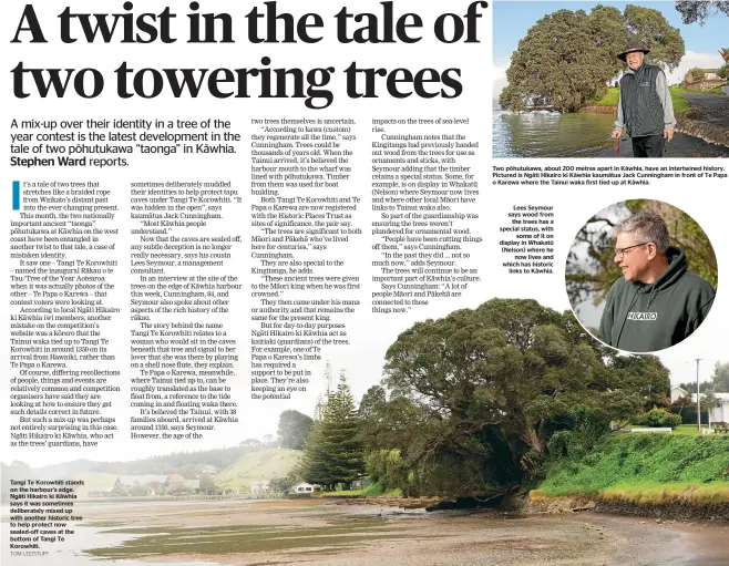  ?? TOM LEE/STUFF ?? Tangi Te Korowhiti stands on the harbour’s edge. Ngā ti Hikairo ki Kā whia says it was sometimes deliberate­ly mixed up with another historic tree to help protect now sealed-off caves at the bottom of Tangi Te Korowhiti.