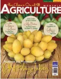  ??  ?? PROBLEMS in the mango industry are discussed in the December issue of Agricultur­e Magazine which will be off the press shortly. These include the high cost of production due to expensive chemical sprays to control pests and diseases. Low prices during...