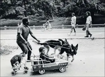  ?? GAROFALO JACK / GETTY ?? Un espacio familiar Una escena cotidiana del Central Park, en 1971, cuando ya era un lugar muy frecuentad­o pero aún no había sido reordenado