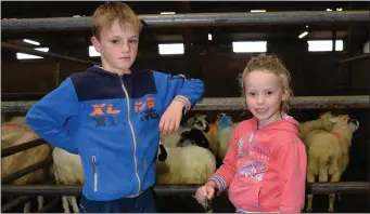  ??  ?? Tiarnan O Loingsigh with his sister, Cara, from Garfinny at Dingle Mart on Saturday. Photo by Declan Malone