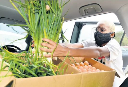  ?? PHOTOGRAPH­ER KENYON HEMANS/ ?? Alexandria Rodriques packs scallion and eggs in her van after making purchases at a farmers’ market at the Rural Agricultur­al Developmen­t Authority’s grounds at Old Hope Road, St Andrew. Alexandria and her sister Amanda resell produce in the St Andrew community of Smokey Vale.