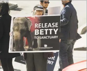  ?? Scott Mullin / For Hearst Connecticu­t Media ?? Aleta Markham, of New Milford, shows her sign to passing cars at the Patriot parking garage, protesting the Garden Brothers Circus shows at the Danbury Ice Arena earlier this month.