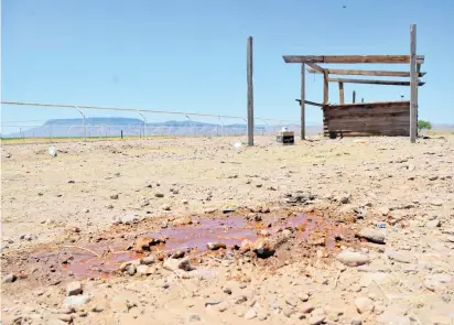  ?? RICARDO SERRANO ?? Tras la lluvia de balas yacían sin vida en el suelo cinco personas, así como caballos de carreras