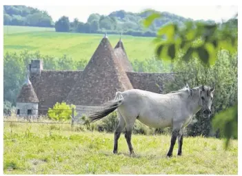  ??  ?? Les beautés du Perche se montrent à la télévision en octobre (photo d’illustrati­on).