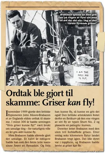  ??  ?? Brabazon spente en liten gris fast på vingen av flyet sitt med et ark der det sto: “Jeg er den første flyvende grisen”.