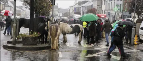  ?? Umbrellas everywhere and only the diehards hanging on at Friday’s November 1 Horse Fair Day in Castleisla­nd. Photo by John Reidy ??