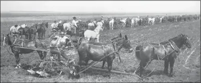  ??  ?? 1884 – Amenia & Sharon Land Company plowing and replanting after a hailstorm. This image was later used on a US Postage Stamp and exhibited at the 1893 Chicago World Fair.