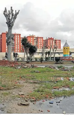  ?? ERASMO FENOY ?? Parcela donde está prevista la construcci­ón del centro de negocios.