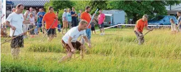  ?? Foto: Alwin Reiter ?? Zumindest im Schnitttem­po waren Vivat Schwabhaus­en (vorne) und das Mähteam Pflaumdorf. Pflaumdorf belegte den vierten Platz, Schwabhaus­en den fünften.