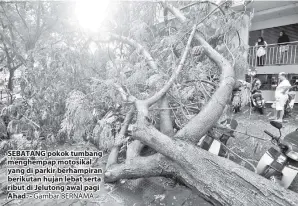  ?? Gambar BERNAMA ?? SEBATANG pokok tumbang menghempap motosikal yang di parkir berhampira­n berikutan hujan lebat serta ribut di Jelutong awal pagi Ahad. -