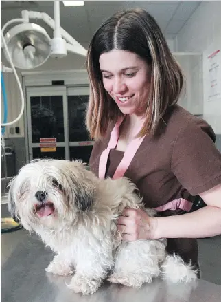  ?? TED RHODES ?? A Shih Tzu cross is cared for at Calgary’s animal-services centre, which opened in 2000 at a cost of $3.5 million. The estimated cost of a similar centre envisioned for Montreal has ballooned to $46 million.