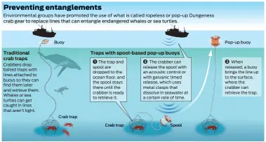  ?? John Blanchard / The Chronicle ?? Sources: National Oceanic and Atmospheri­c Administra­tion, Oceana, Center for Biological Diversity