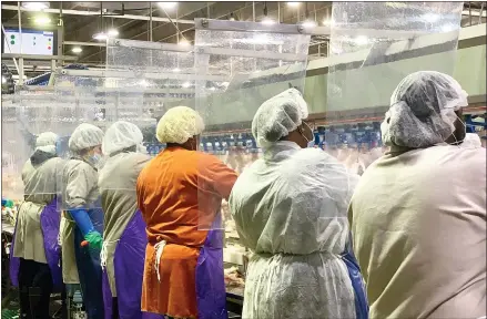  ?? TYSON FOODS VIA THE ASSOCIATED PRESS ?? Workers wear protective masks and stand between plastic dividers at the Tyson Foods’s Camilla, Ga., poultry processing plant. Meat production has rebounded from its low point during the coronaviru­s pandemic when dozens of plants were closed, but experts say consumer prices are likely to remain high.