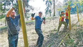  ?? RP-FOTO: KNAPPE ?? Arbeiter installier­en neue Zäune für das städtische Wildgehege auf den Süchtelner Höhen.