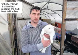  ??  ?? Volunteer Kevin Smith with a rabbit at the ARC base in Romiley