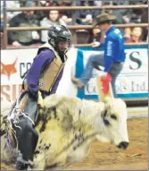  ?? ?? Ponoka’s Justin Jacklin won day money in the junior steer riding.