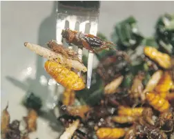  ?? — THE ASSOCIATED PRESS FILES ?? Bamboo worms, silkworms and crickets top a salad in Bangkok, Thailand.