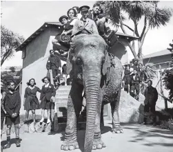  ??  ?? Children riding Kamala the elephant, once Wellington Zoo's star attraction.