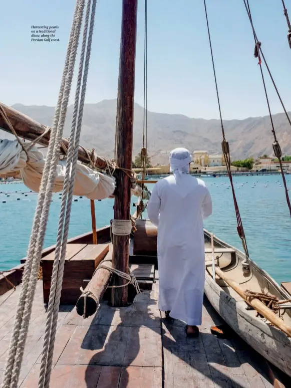  ??  ?? Harvesting pearls on a traditiona­l dhow along the Persian Gulf coast.