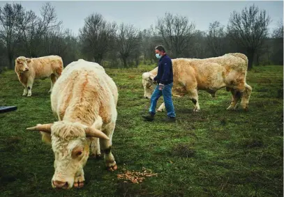  ?? EFE ?? La Unión Europea apuesta por reducir la ingesta de carne para luchar contra el cáncer